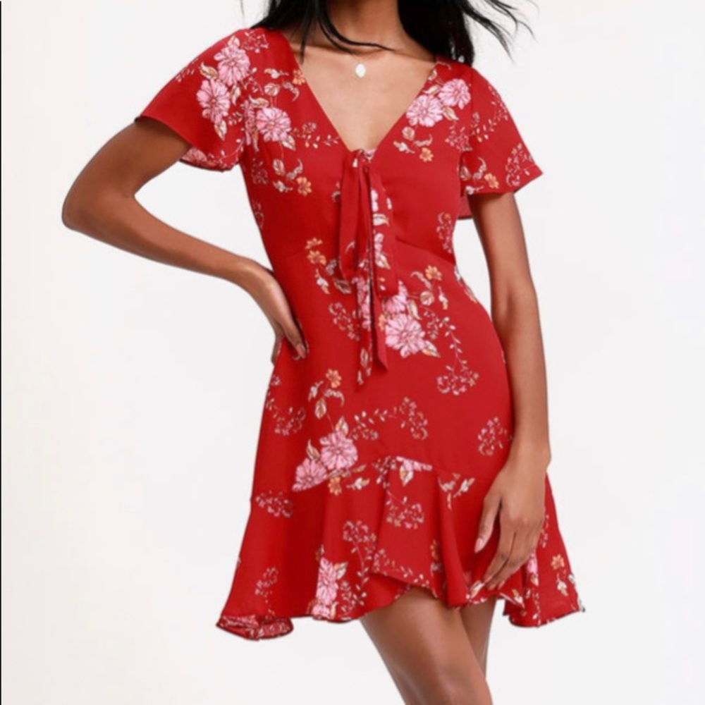Red BB Dakota Dress! Worn Once!
